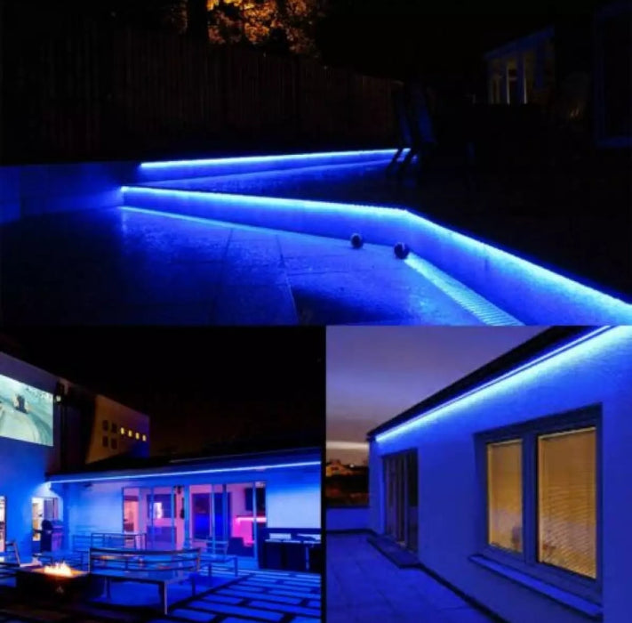 LED 220V Blue  Pro Neon flex per metre